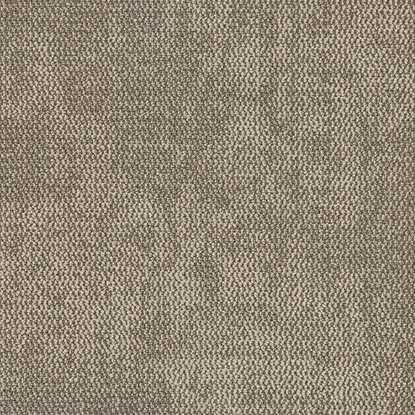 Nova Carpet Tile Collection